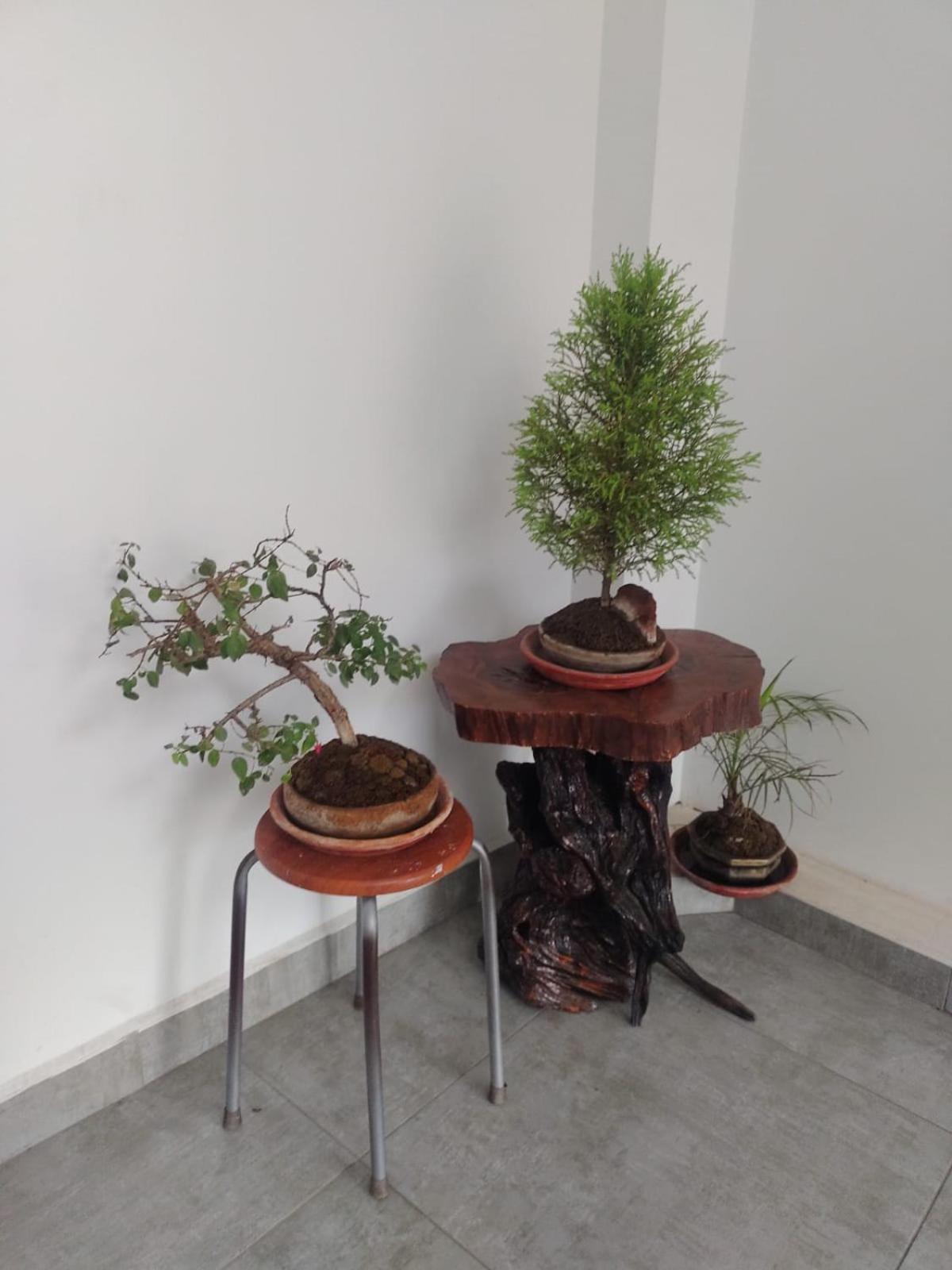 Apartment Comiqwasi